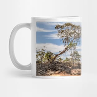 Murray Sunset National Park 05 Mug